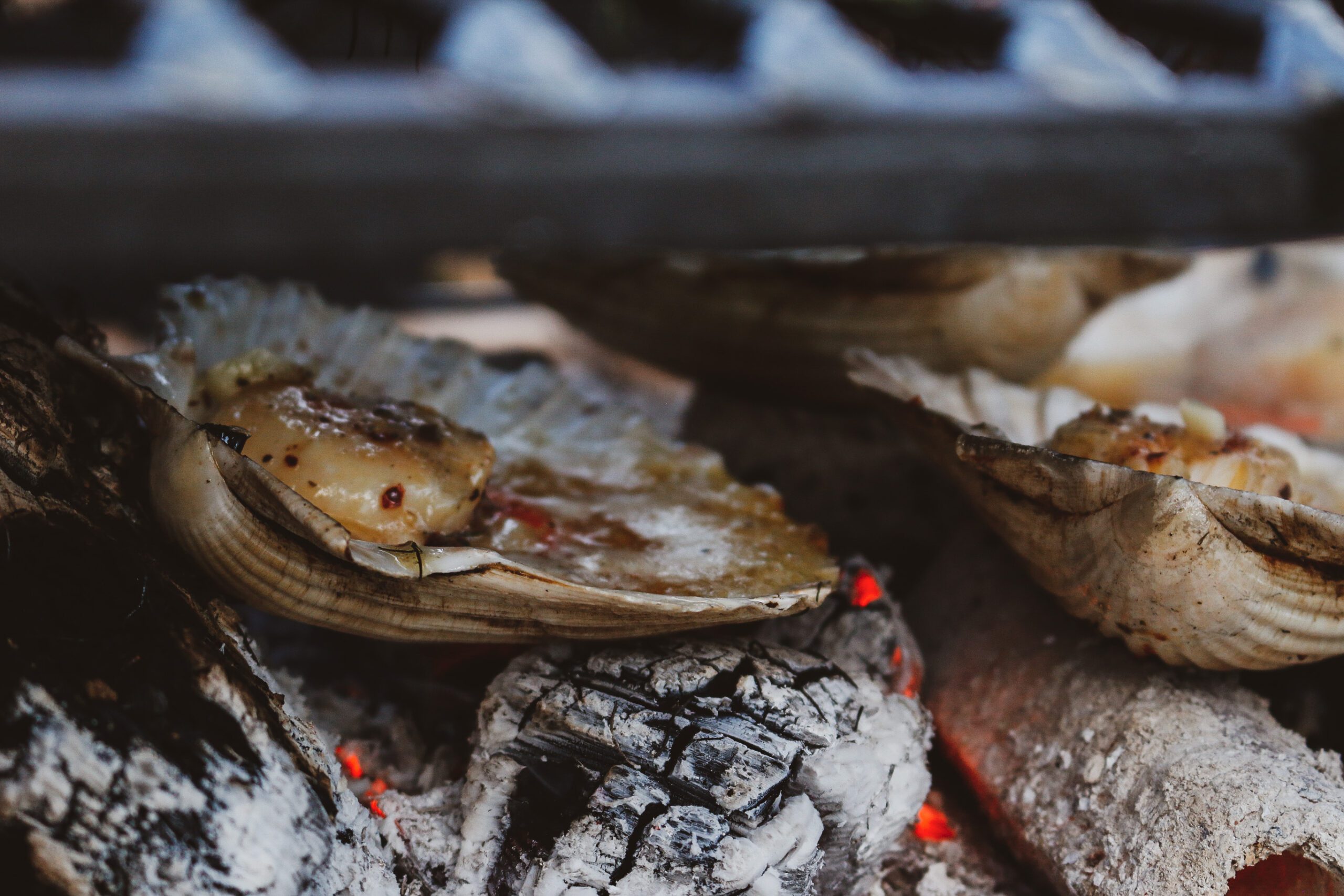 Scallops in the shell with garlic butter